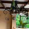  - Punta Encanto Private Beach Property