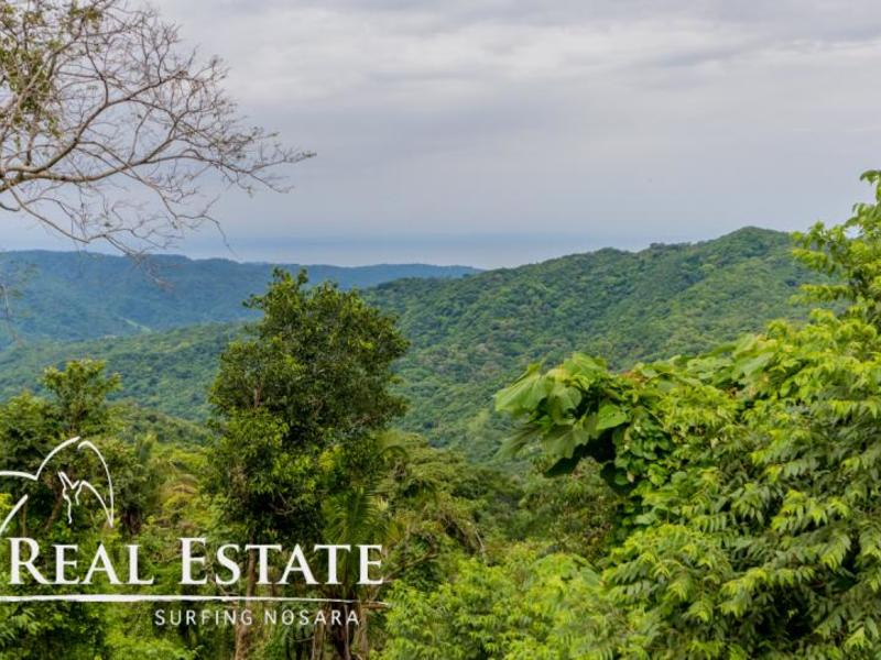 0 bed Land For Sale in Nosara, Guanacaste - 1
