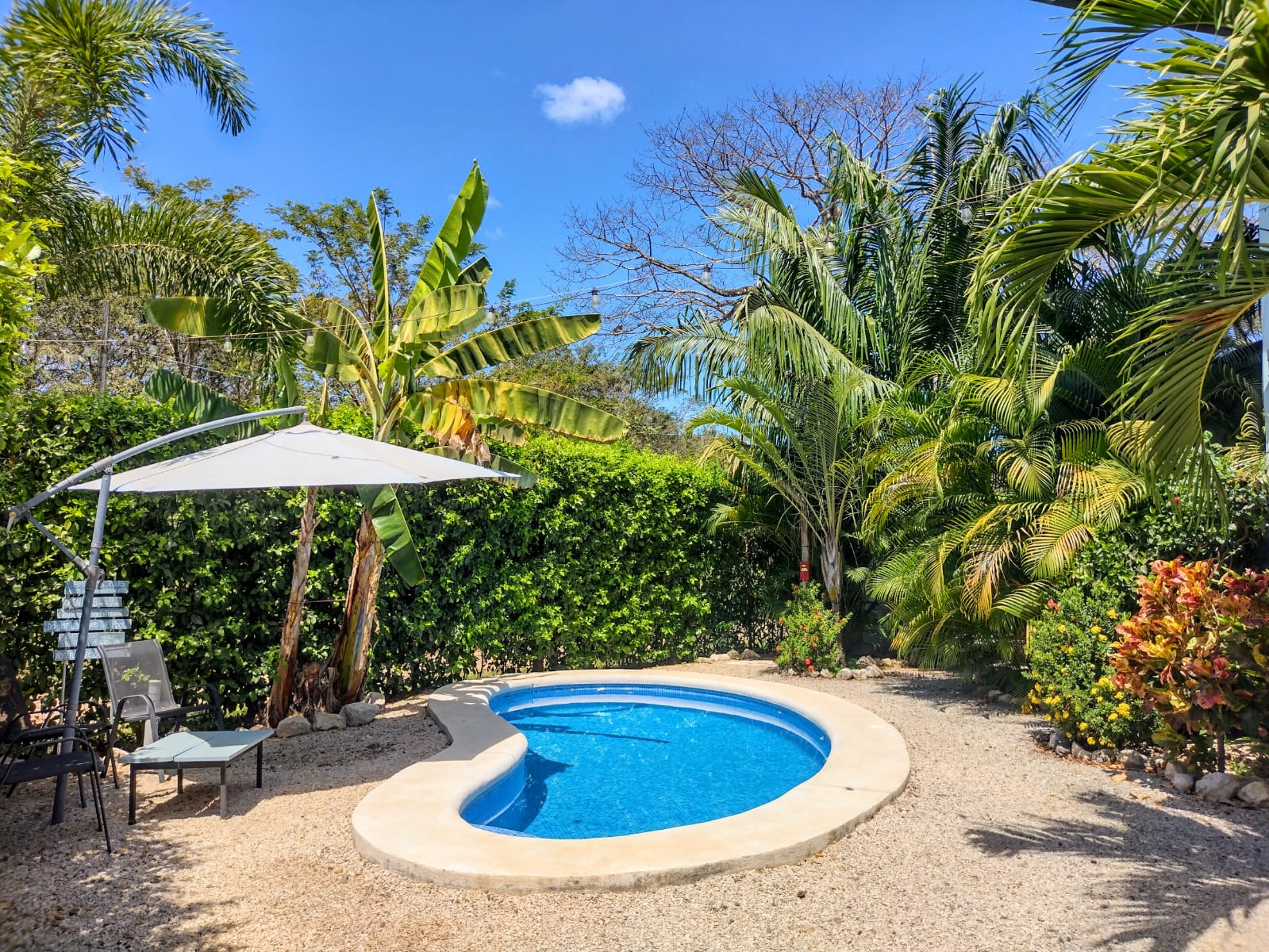 6 bed Single Family Homes For Sale in Samara, Guanacaste - thumb 5