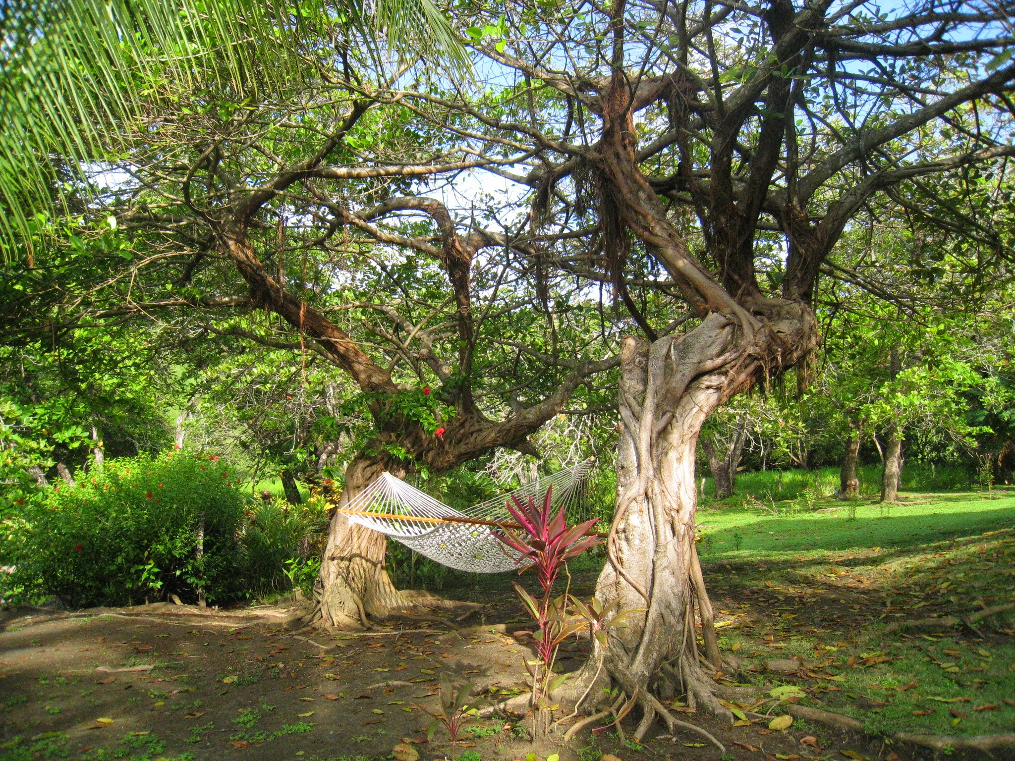 4 bed Single Family Homes For Sale in Samara, Guanacaste - thumb 11