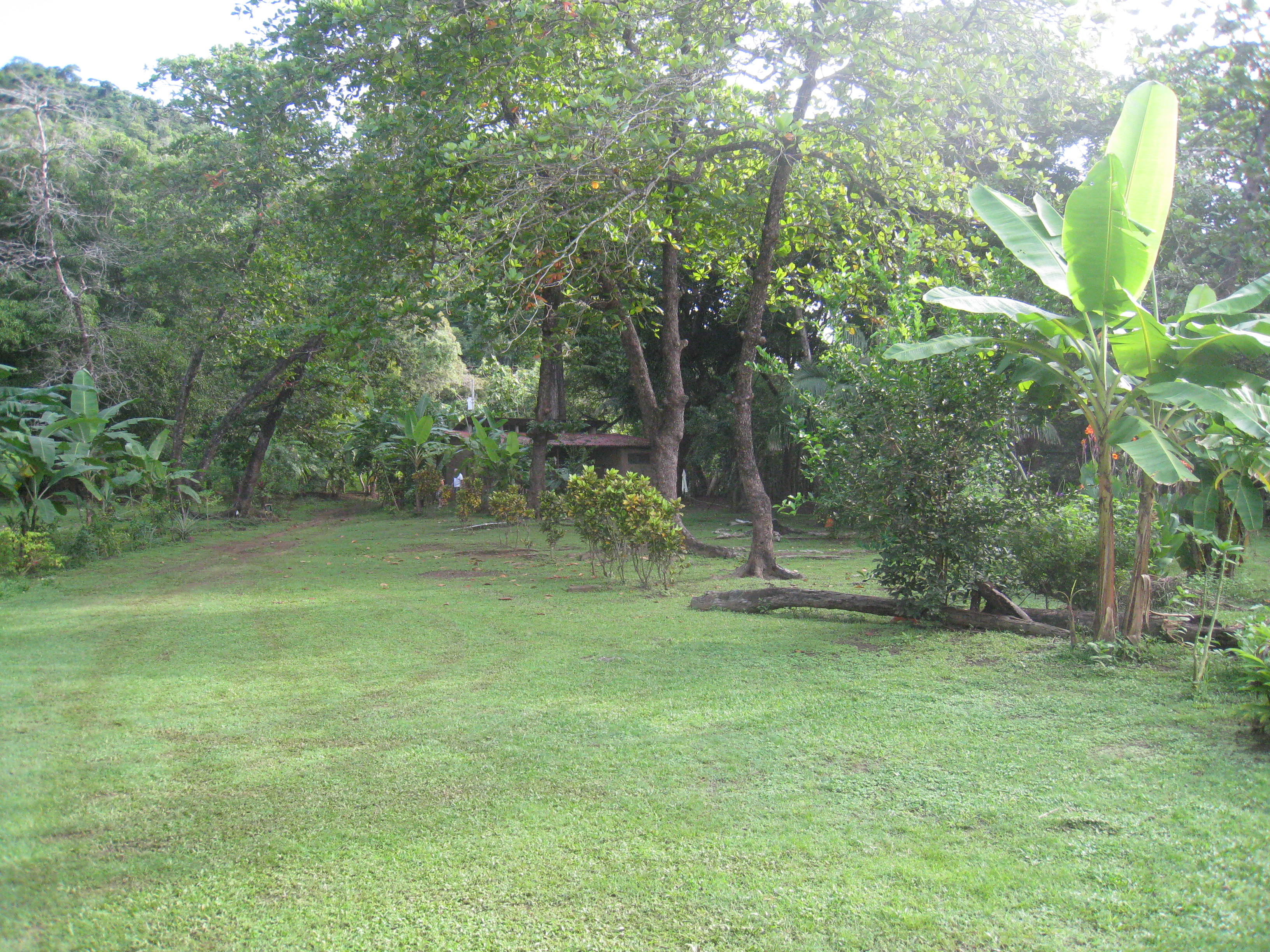 4 bed Single Family Homes For Sale in Samara, Guanacaste - thumb 12