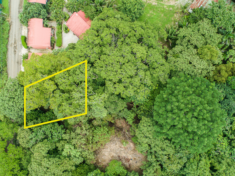 0 bed Land For Sale in Nosara, Guanacaste - 1
