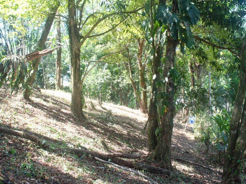 0 bed Land For Sale in Uvita, Puntarenas - 1