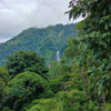  - Big Price Drop - Elegant Home in the Jungle with Waterfall and Ocean Views