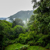  - Big Price Drop - Elegant Home in the Jungle with Waterfall and Ocean Views