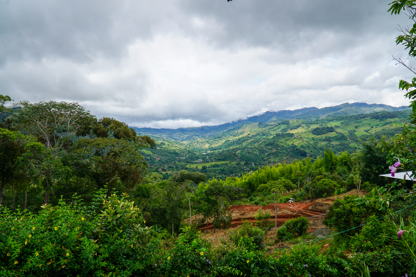 2 bed Single Family Homes For Sale in Perez Zeledon, Puntarenas - thumb 6