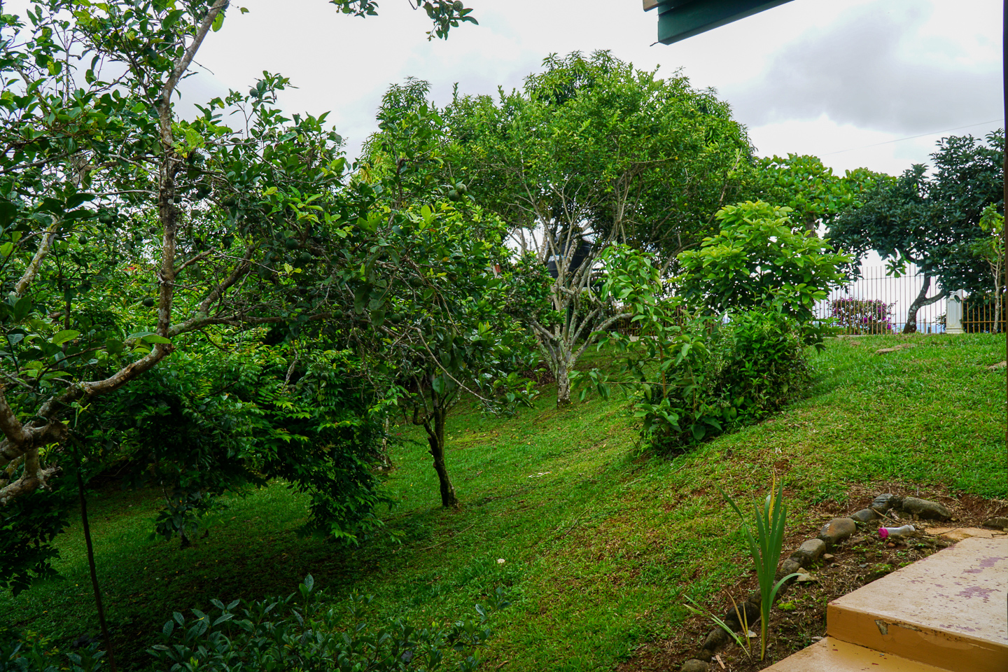 2 bed Single Family Homes For Sale in Perez Zeledon, Puntarenas - thumb 29