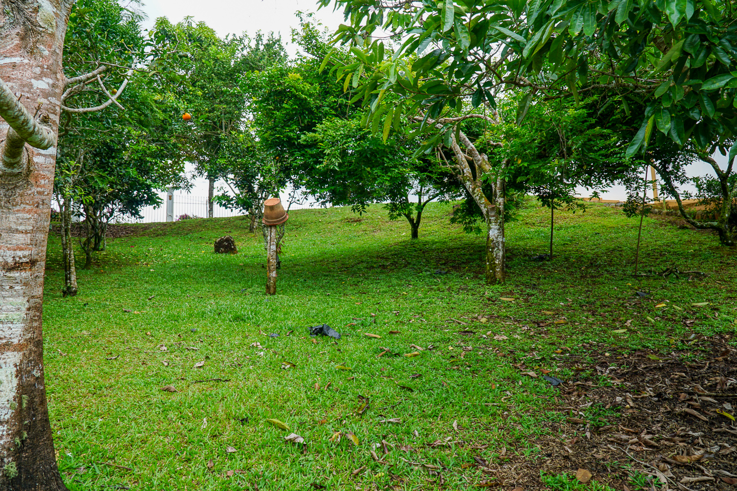 2 bed Single Family Homes For Sale in Perez Zeledon, Puntarenas - thumb 27