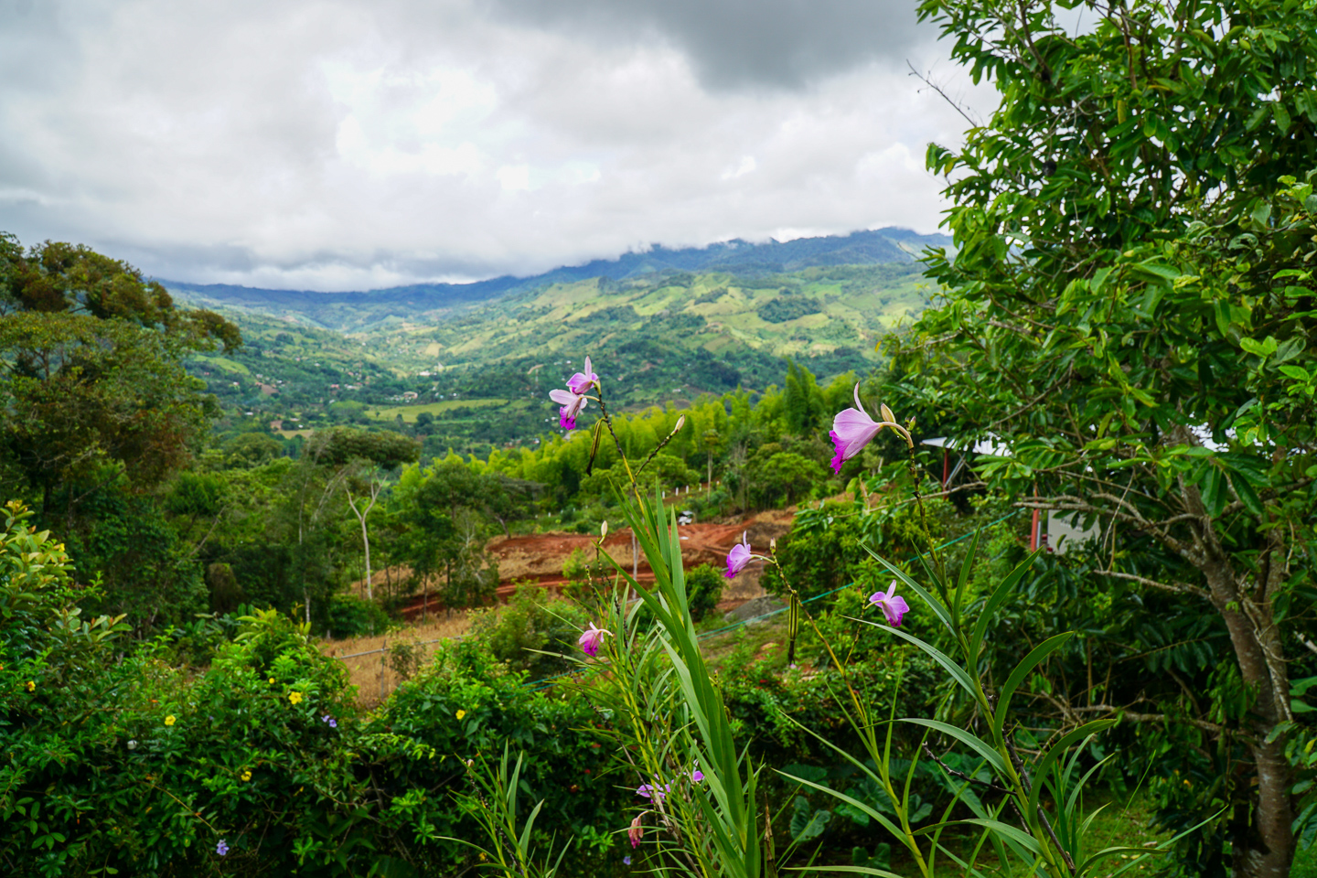 2 bed Single Family Homes For Sale in Perez Zeledon, Puntarenas - thumb 30