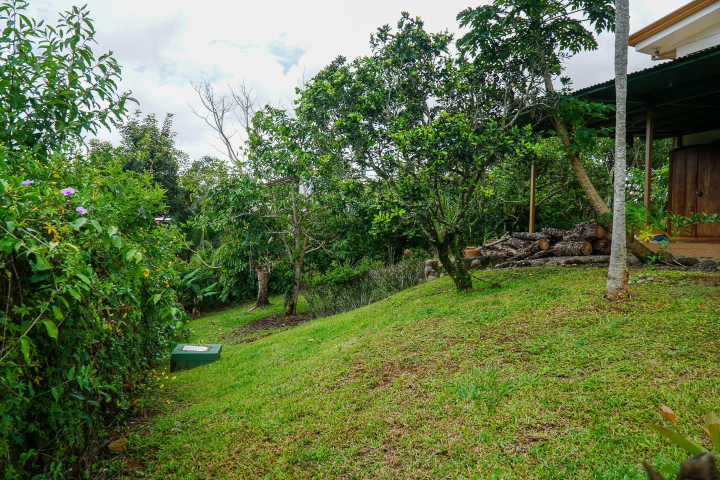 2 bed Single Family Homes For Sale in Perez Zeledon, Puntarenas - thumb 25