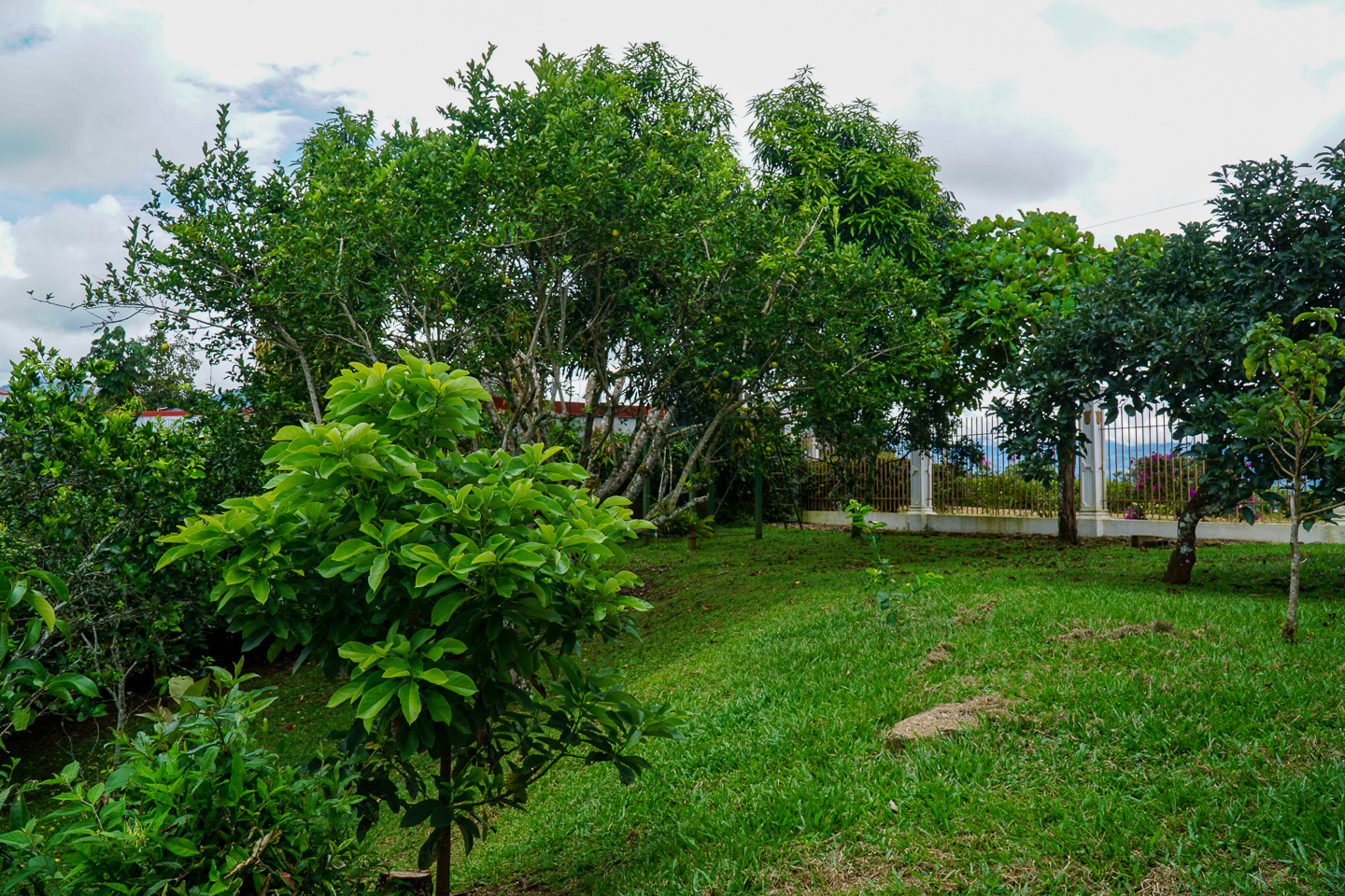 2 bed Single Family Homes For Sale in Perez Zeledon, Puntarenas - thumb 23