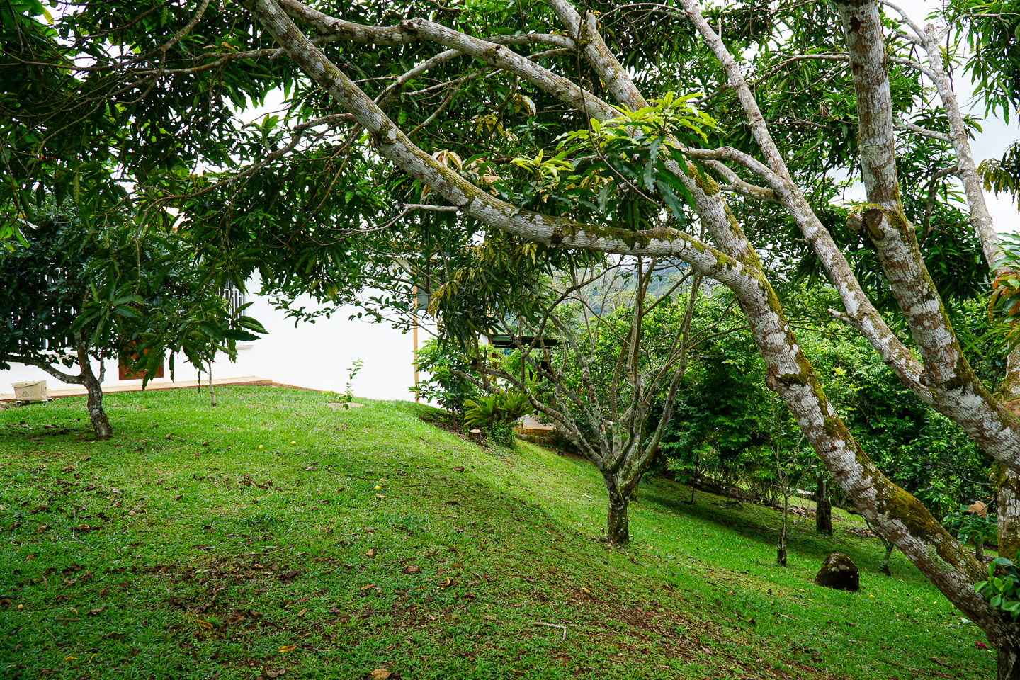 2 bed Single Family Homes For Sale in Perez Zeledon, Puntarenas - thumb 21