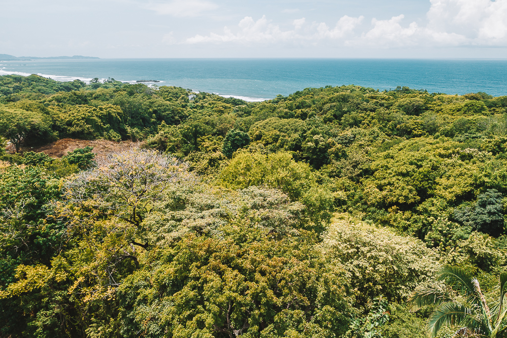 0 bed Land For Sale in Nosara, Guanacaste - thumb 25