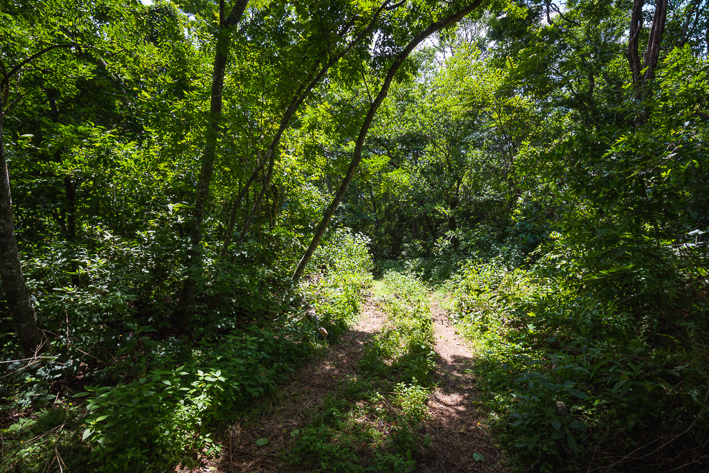 0 bed Land For Sale in Nosara, Guanacaste - thumb 12