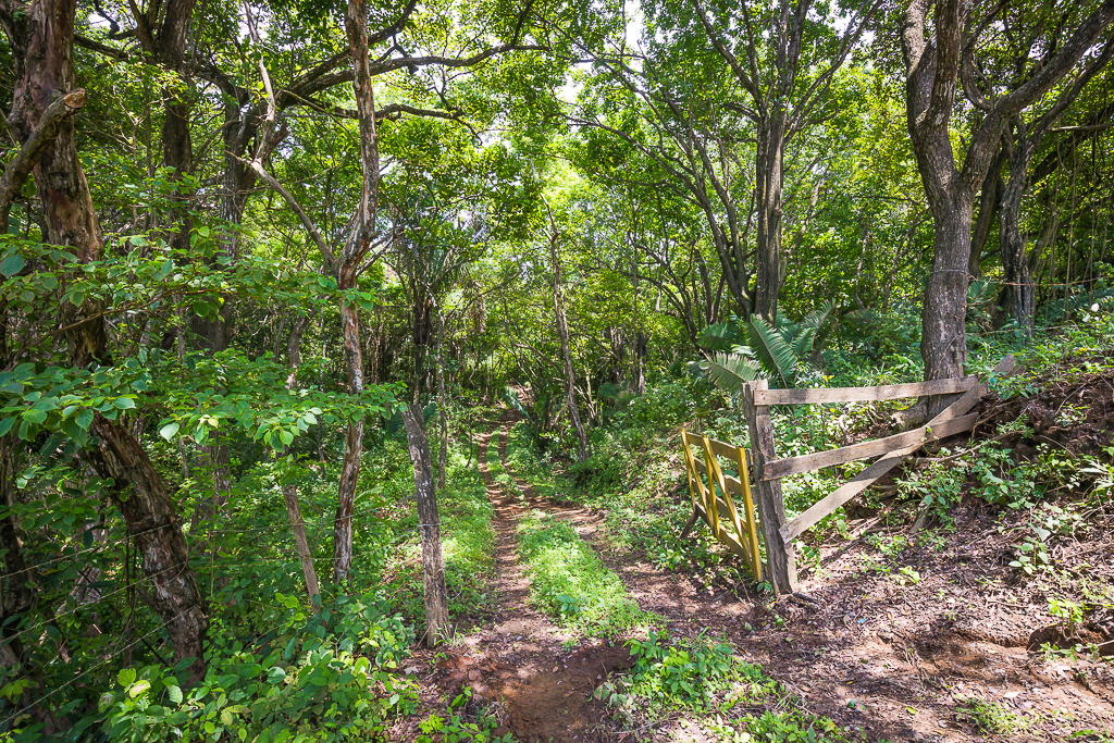 0 bed Land For Sale in Nosara, Guanacaste - thumb 10