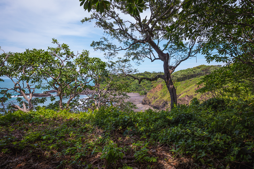 0 bed Land For Sale in Nosara, Guanacaste - thumb 20