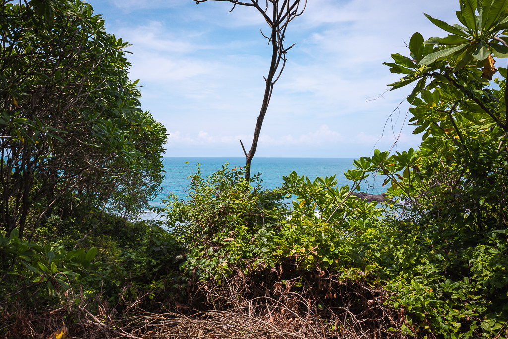 0 bed Land For Sale in Nosara, Guanacaste - thumb 15