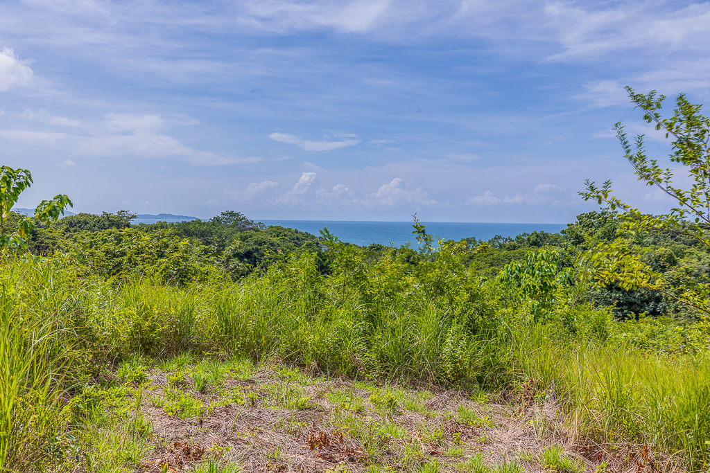 0 bed Land For Sale in Nosara, Guanacaste - thumb 23
