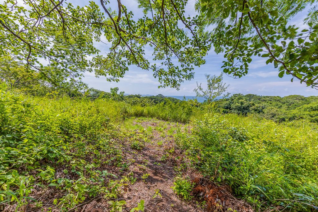 0 bed Land For Sale in Nosara, Guanacaste - thumb 21