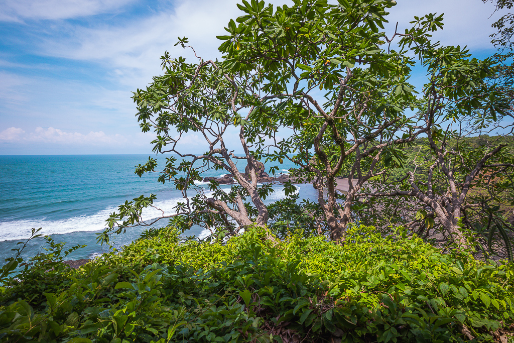 0 bed Land For Sale in Nosara, Guanacaste - thumb 19