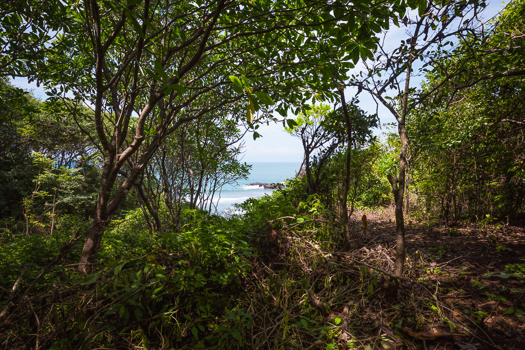 0 bed Land For Sale in Nosara, Guanacaste - thumb 14