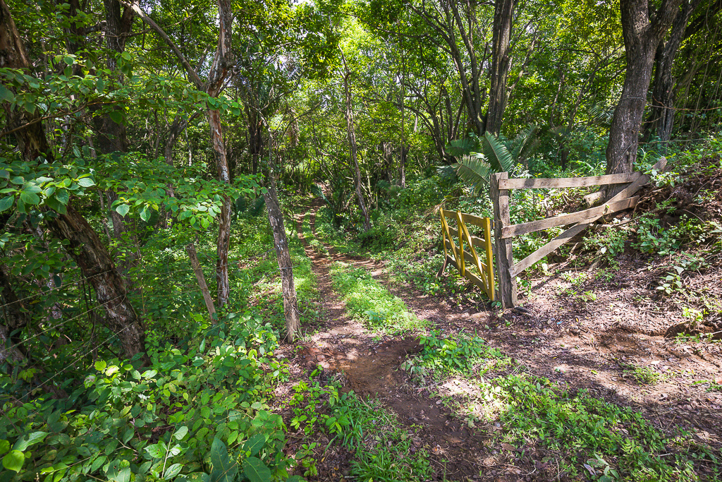 0 bed Land For Sale in Nosara, Guanacaste - thumb 9