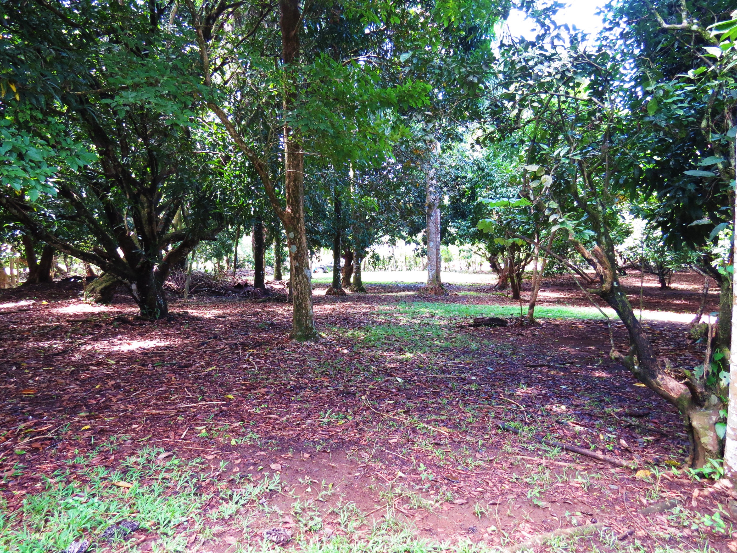 0 bed Land For Sale in Uvita, Puntarenas - thumb 4