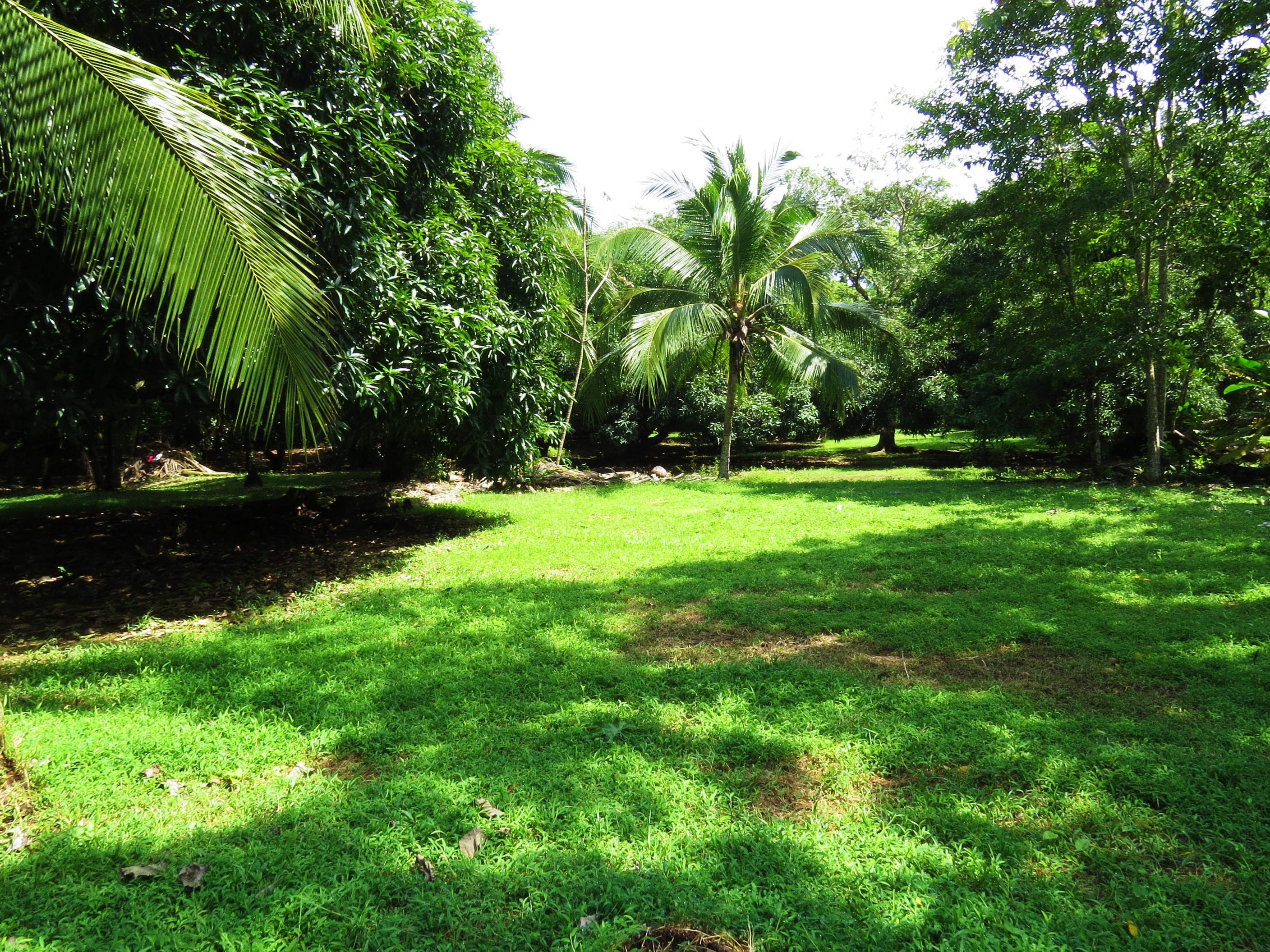0 bed Land For Sale in Uvita, Puntarenas - thumb 6