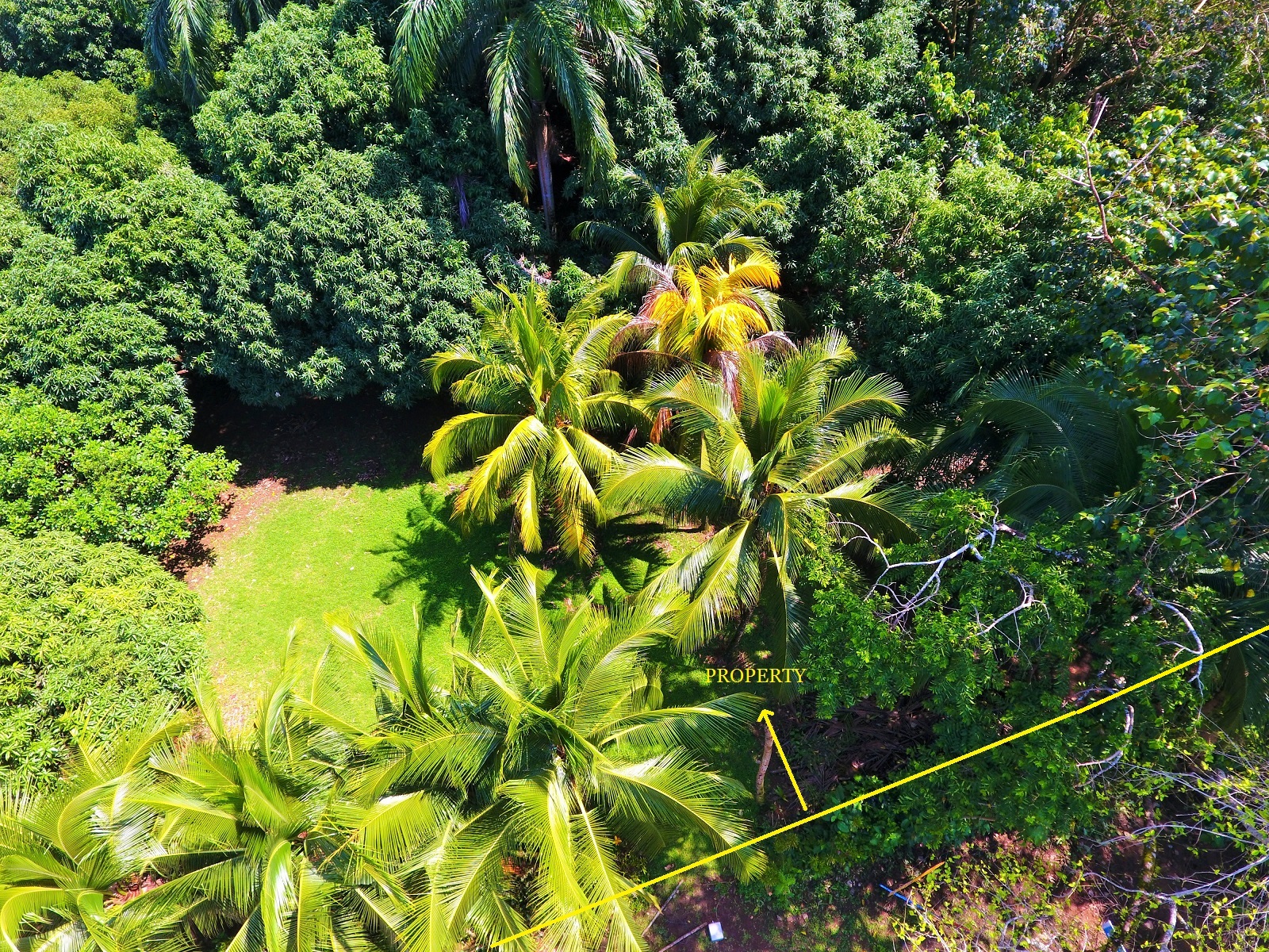 0 bed Land For Sale in Uvita, Puntarenas - thumb 9