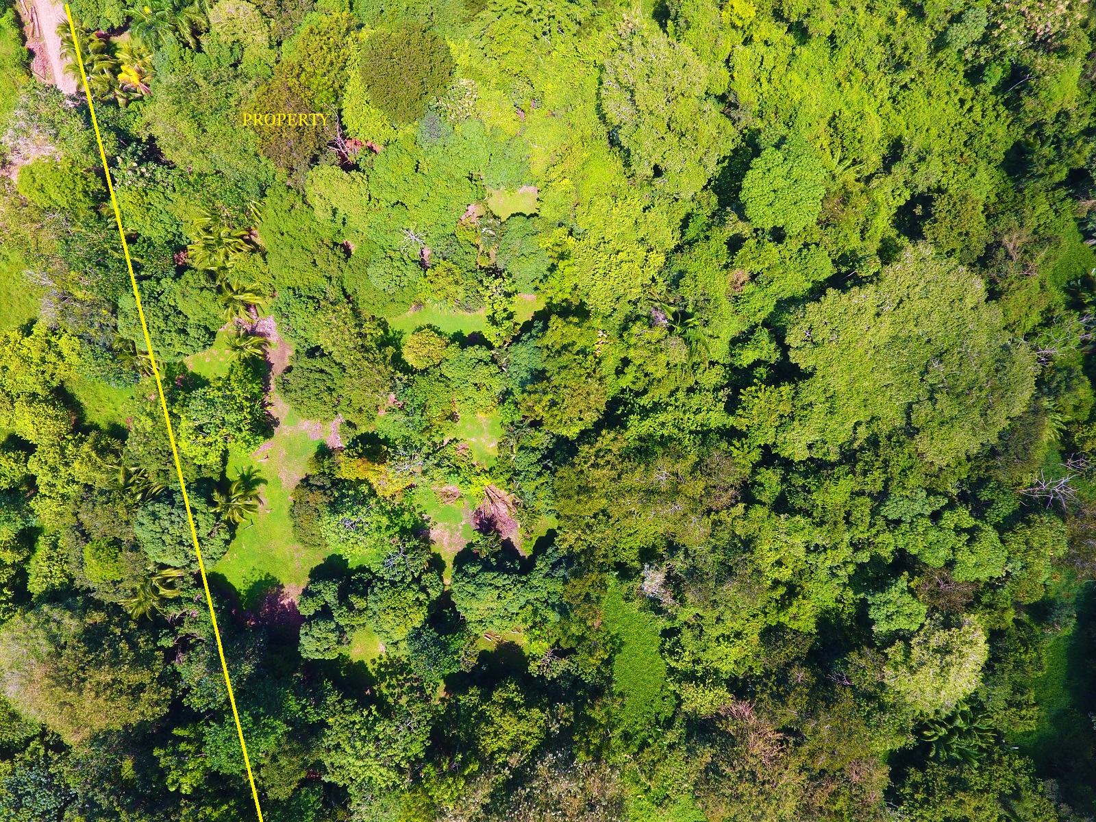 0 bed Land For Sale in Uvita, Puntarenas - thumb 8