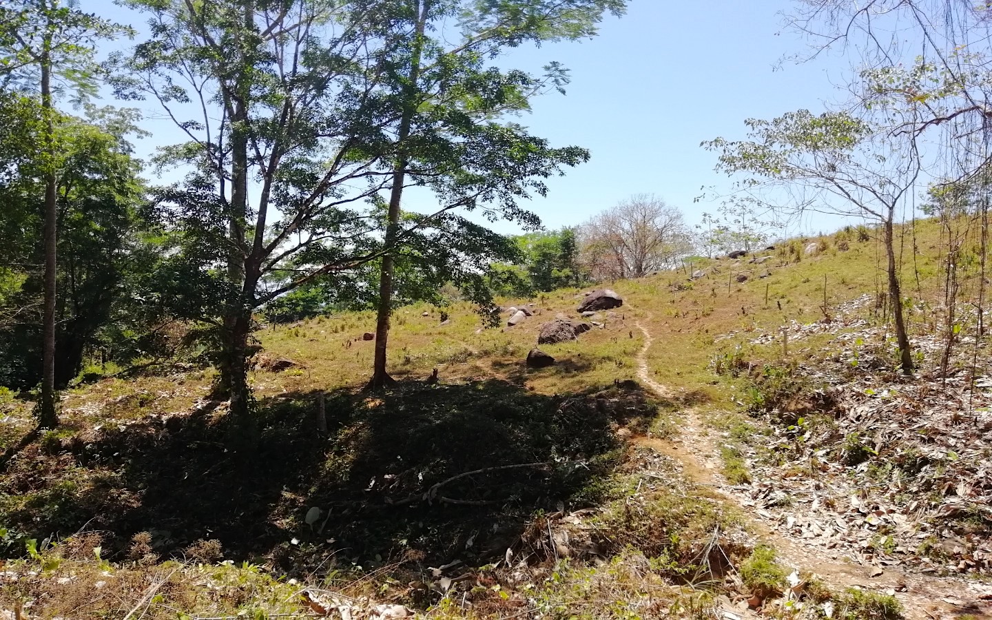 0 bed Land For Sale in Ojochal, Puntarenas - thumb 9