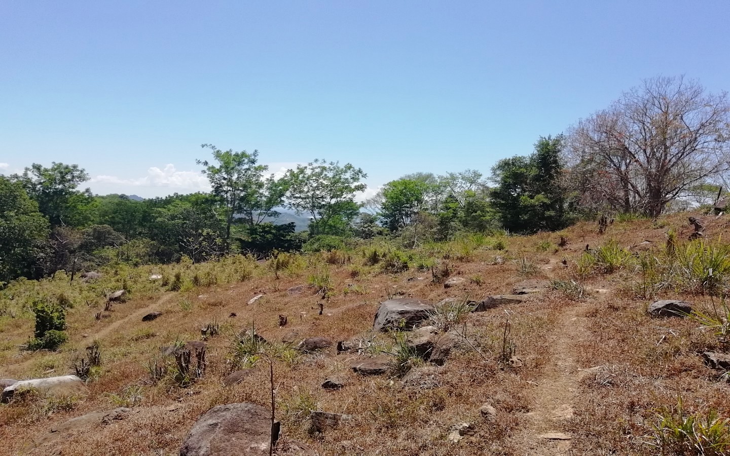 0 bed Land For Sale in Ojochal, Puntarenas - thumb 7