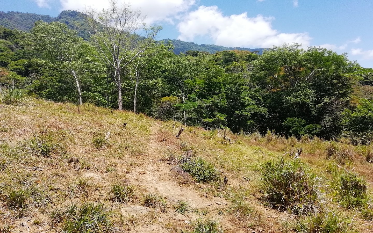 0 bed Land For Sale in Ojochal, Puntarenas - thumb 5