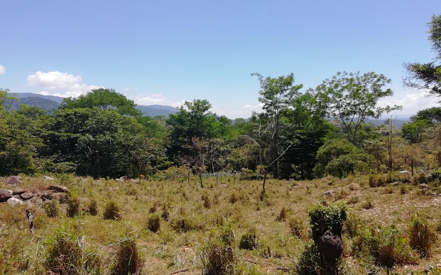 0 bed Land For Sale in Ojochal, Puntarenas - thumb 4