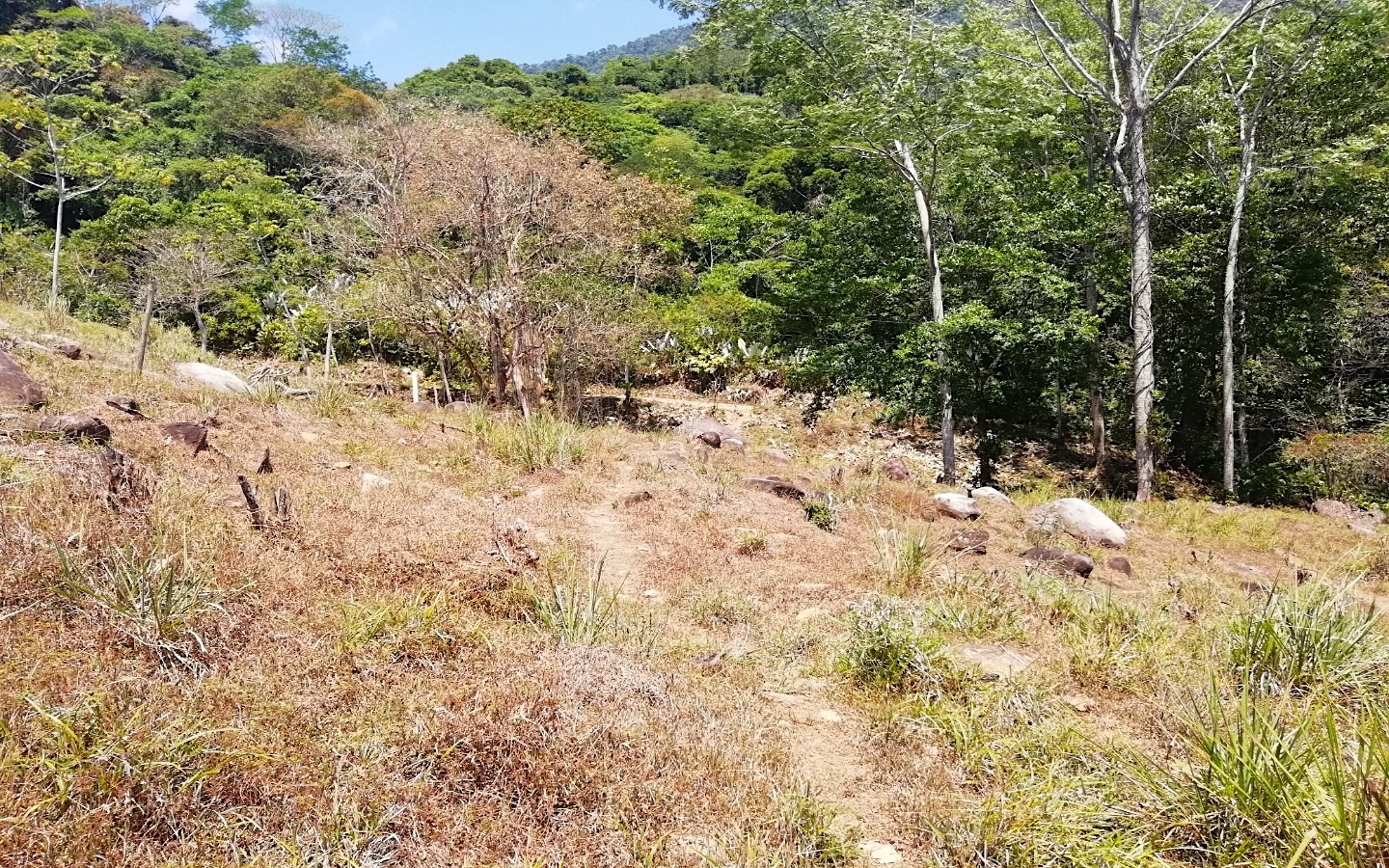 0 bed Land For Sale in Ojochal, Puntarenas - thumb 6