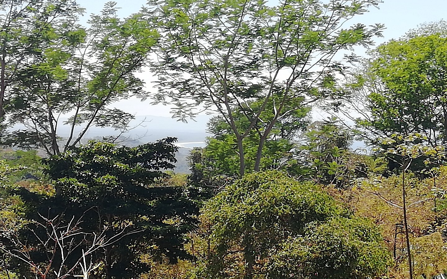 0 bed Land For Sale in Ojochal, Puntarenas - thumb 2