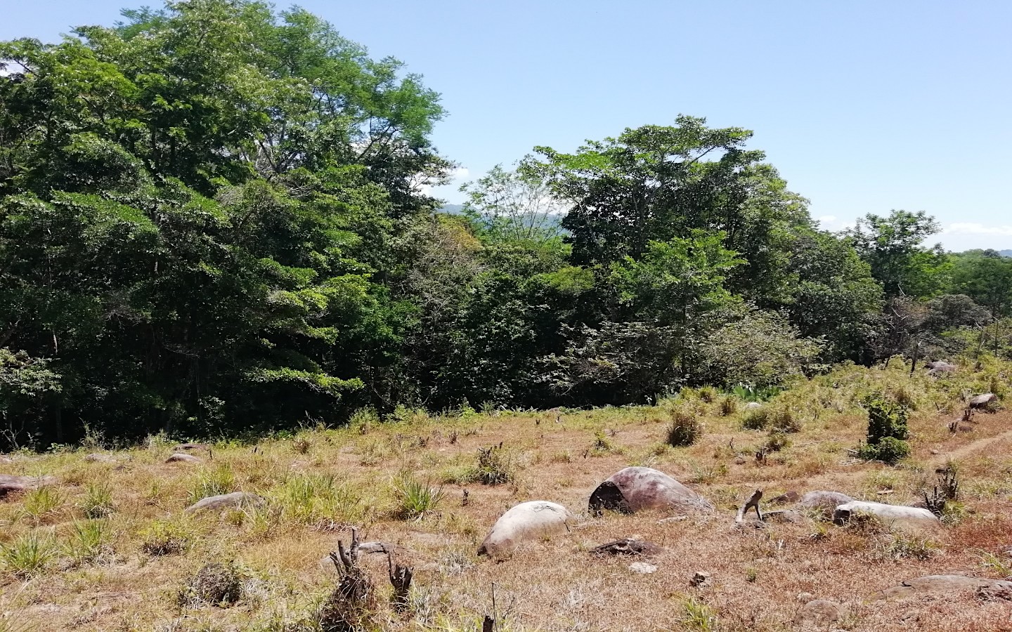 0 bed Land For Sale in Ojochal, Puntarenas - thumb 8