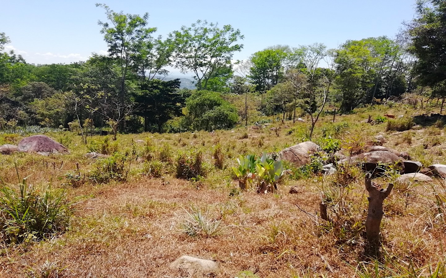 0 bed Land For Sale in Ojochal, Puntarenas - thumb 1
