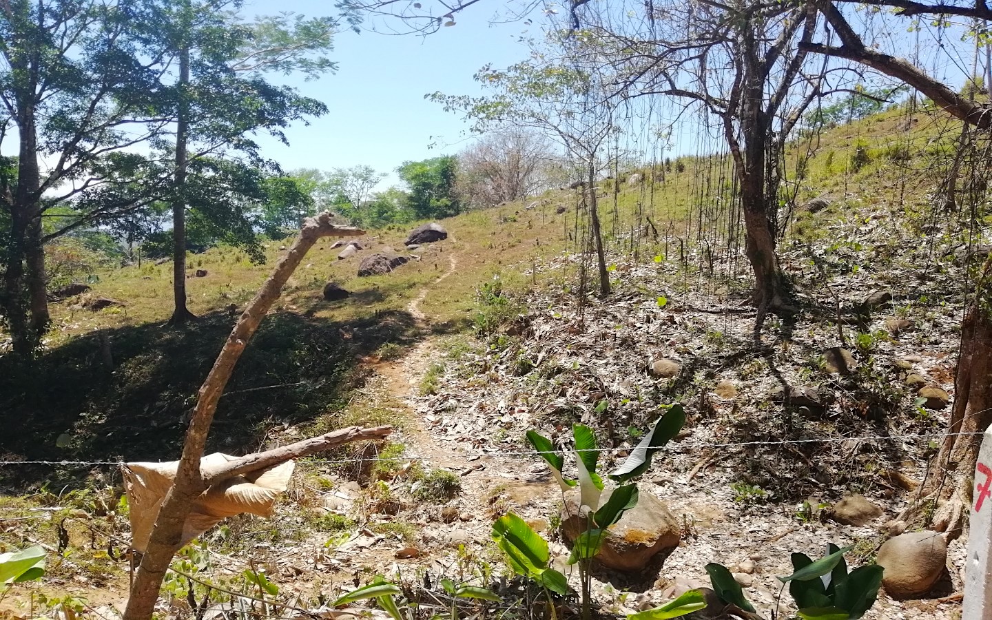 0 bed Land For Sale in Ojochal, Puntarenas - thumb 3