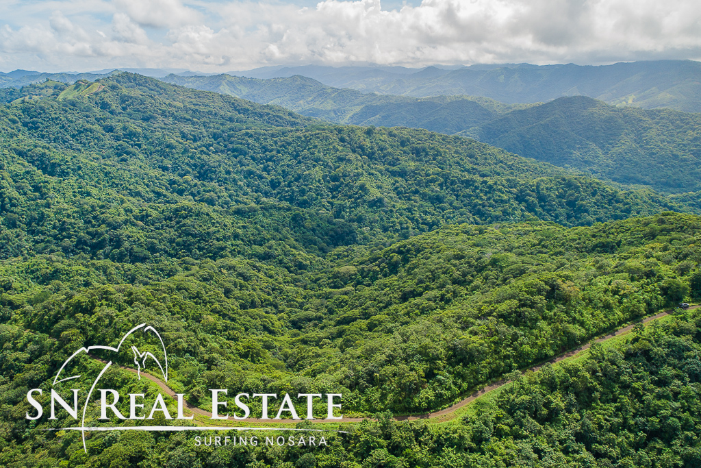 0 bed Land For Sale in Nosara, Guanacaste - thumb 17