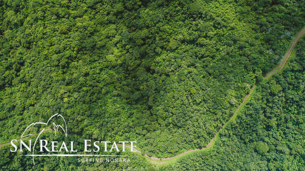 0 bed Land For Sale in Nosara, Guanacaste - thumb 8