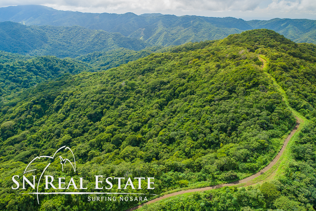 0 bed Land For Sale in Nosara, Guanacaste - thumb 9