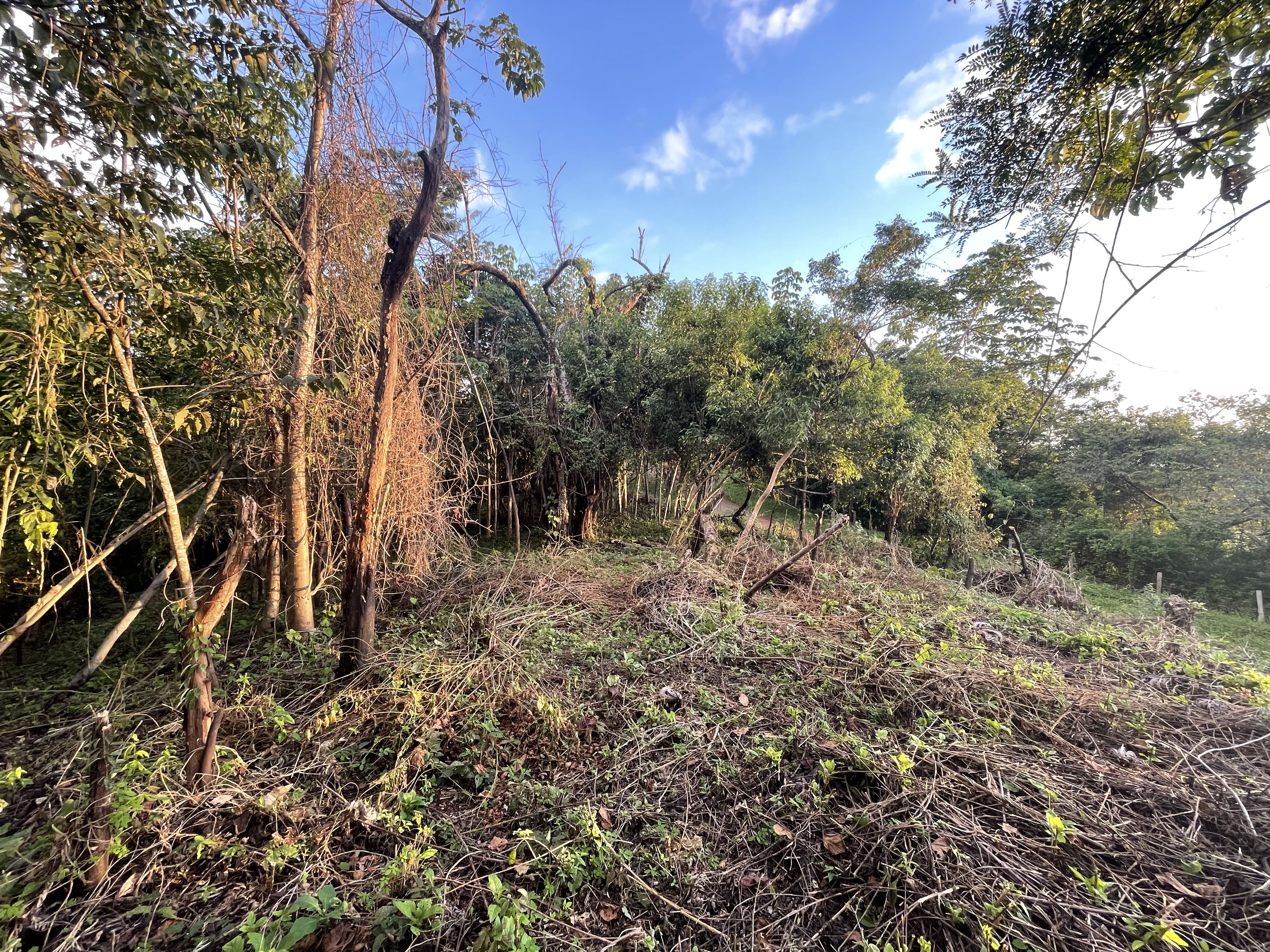 0 bed Land For Sale in Nosara, Guanacaste - thumb 4