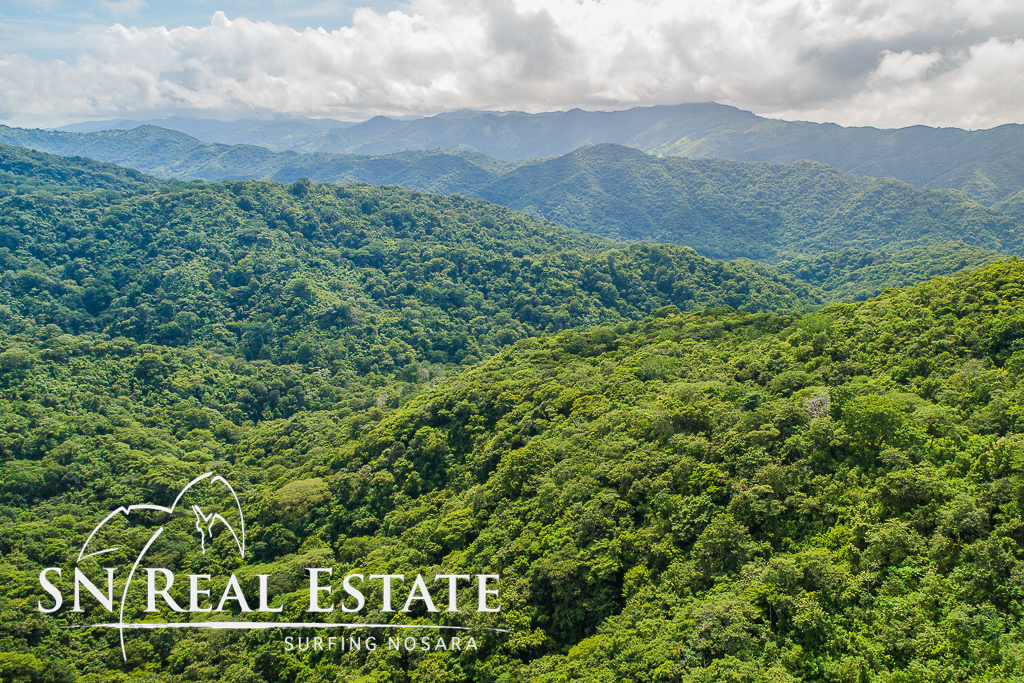 0 bed Land For Sale in Nosara, Guanacaste - thumb 15