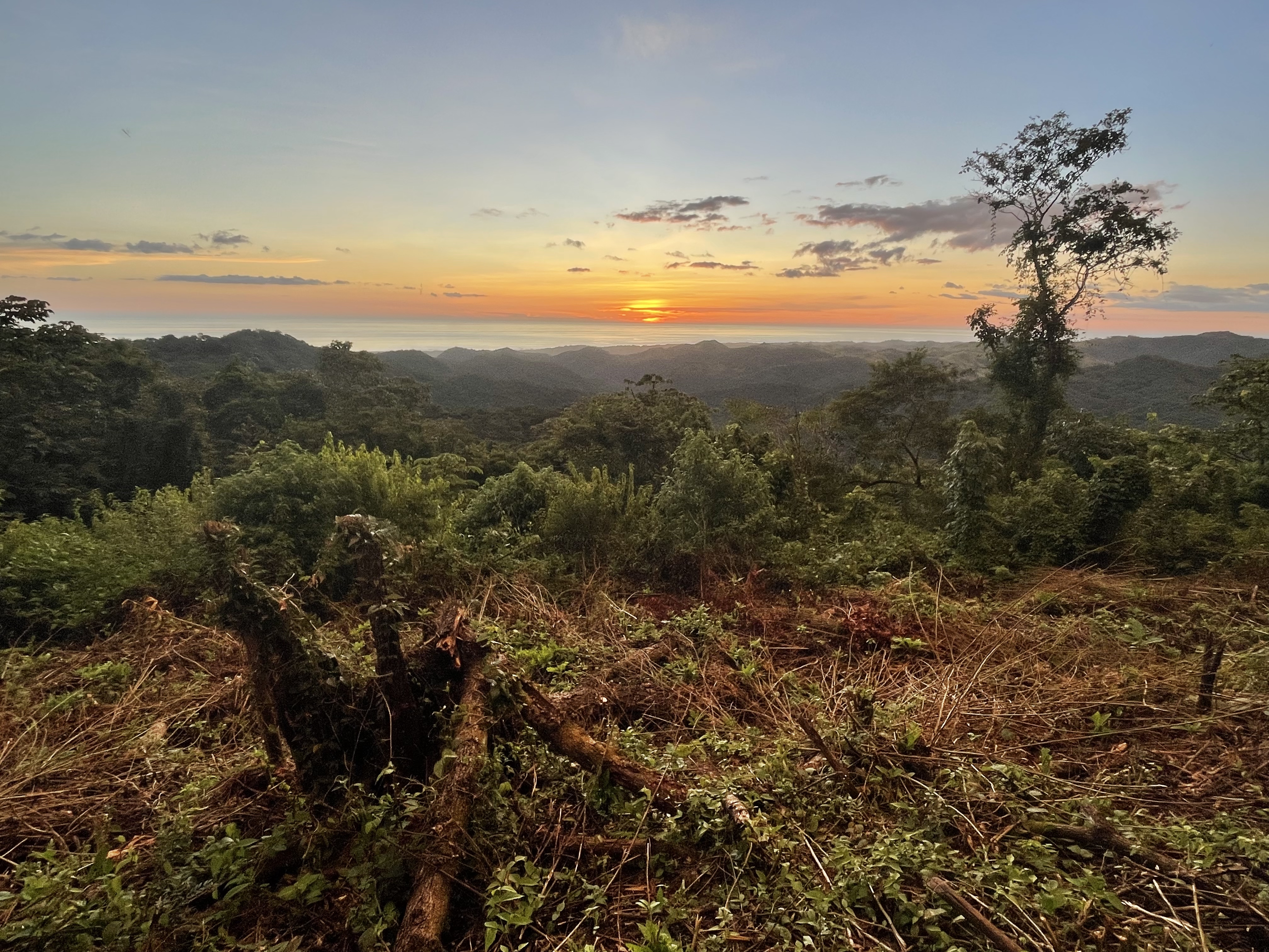 0 bed Land For Sale in Nosara, Guanacaste - thumb 1