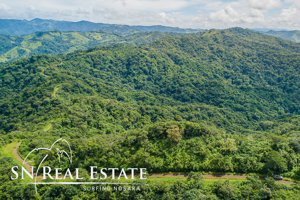 0 bed Land For Sale in Nosara, Guanacaste - thumb 16