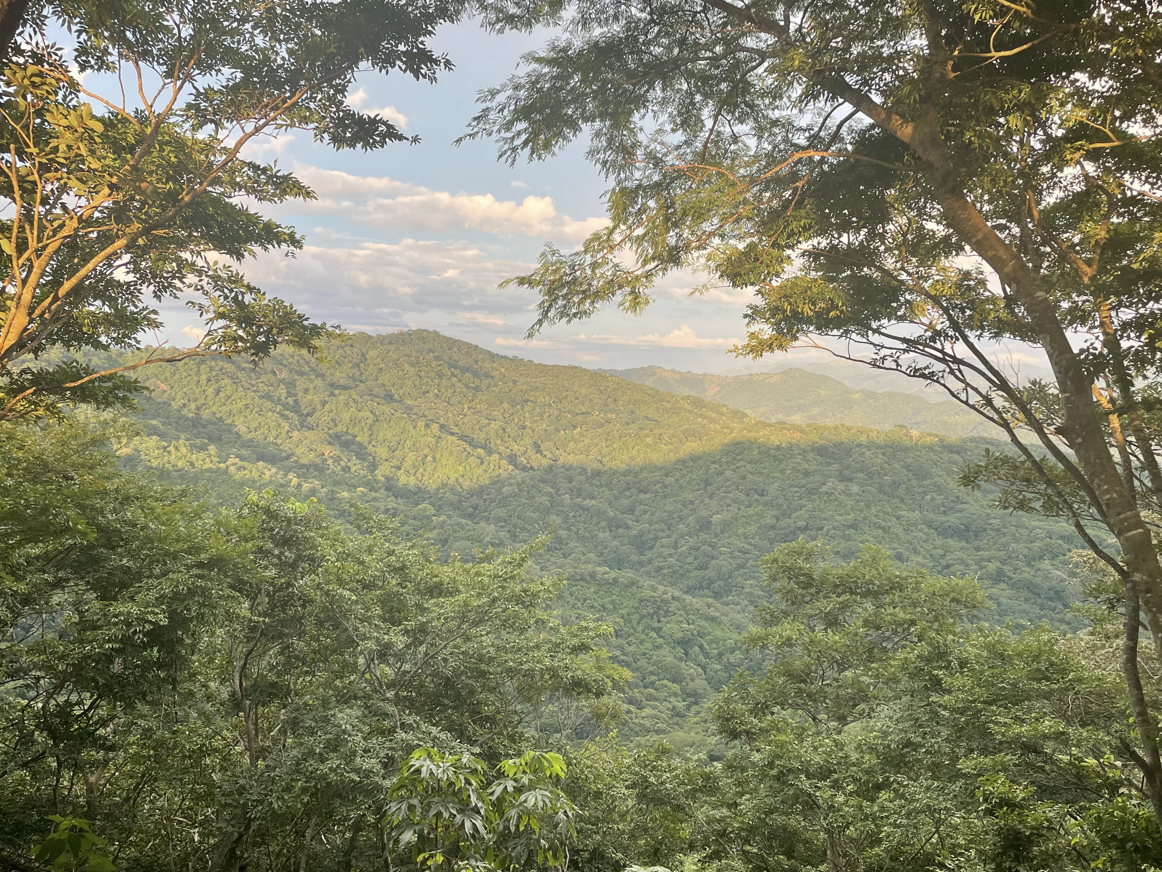 0 bed Land For Sale in Nosara, Guanacaste - thumb 2