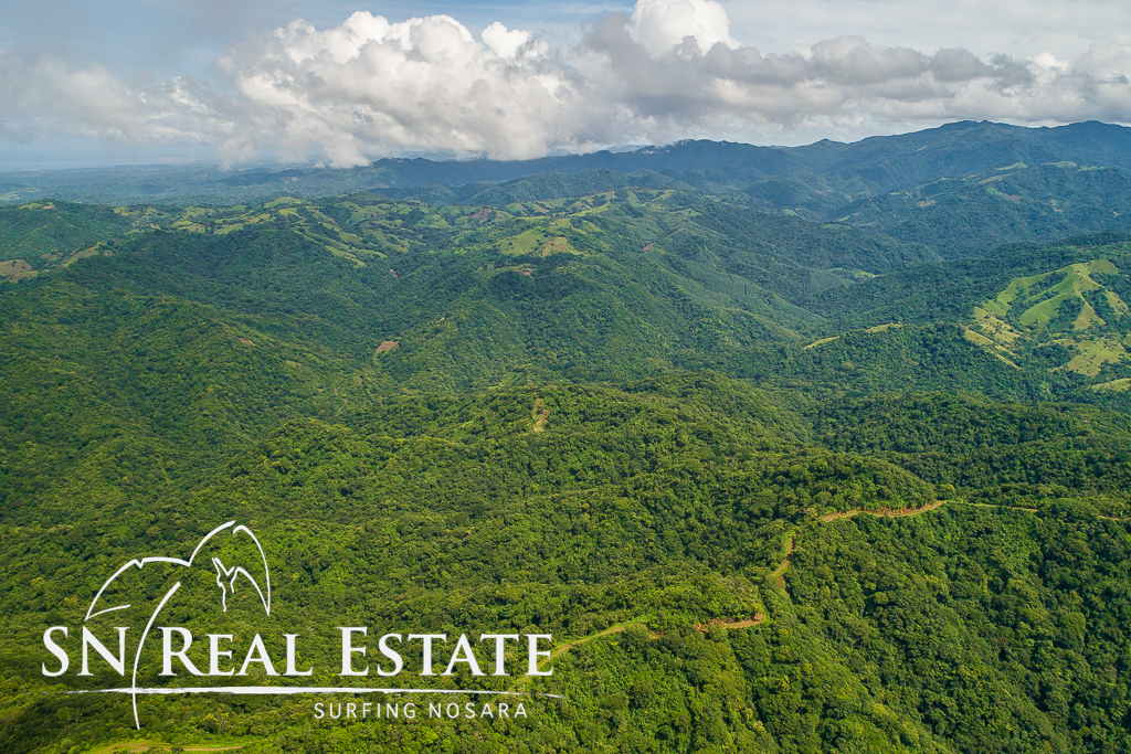 0 bed Land For Sale in Nosara, Guanacaste - thumb 12