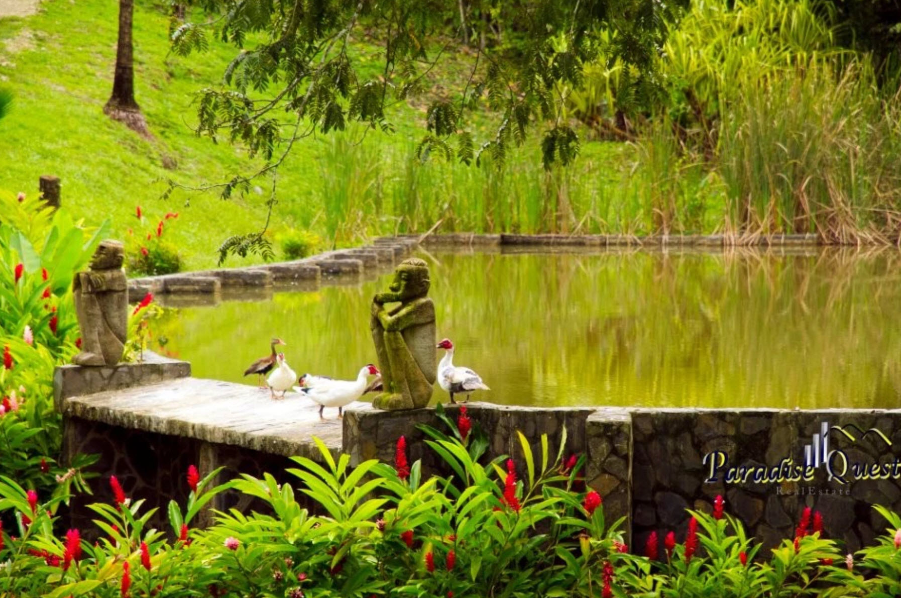 5 bed Single Family Homes For Sale in Delicias, Puntarenas - thumb 14