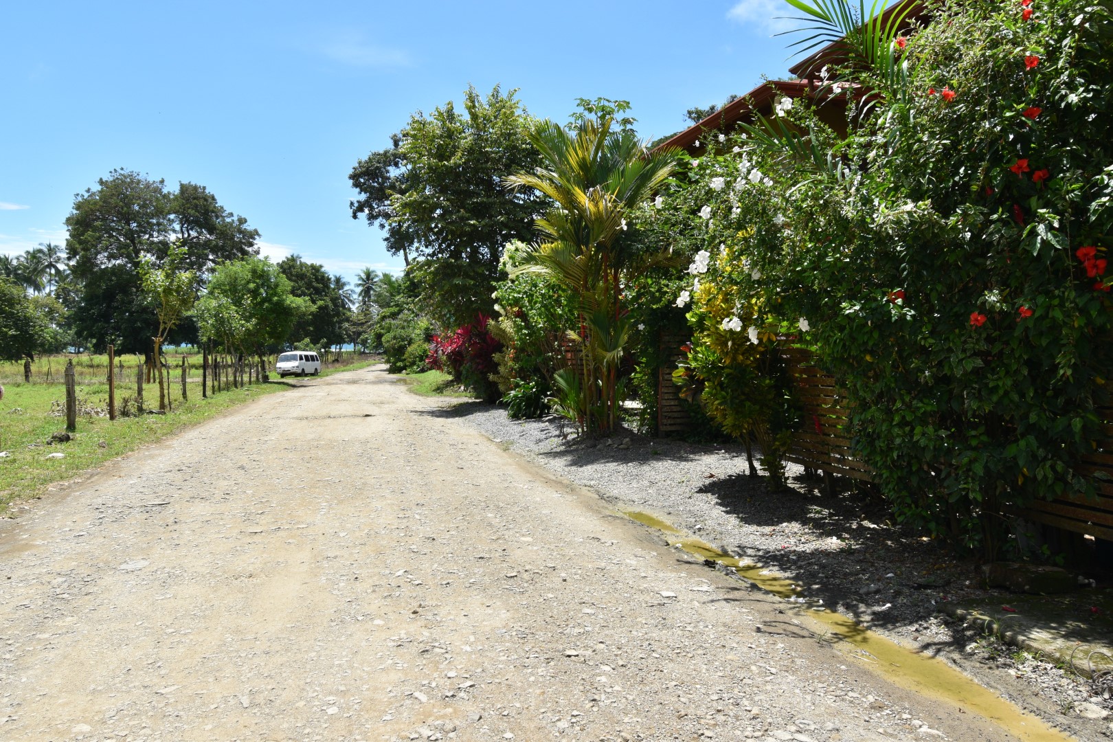 3 bed Single Family Homes For Sale in Dominical, Puntarenas - thumb 17
